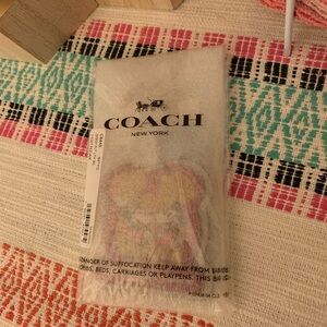 Coach Disney keychain